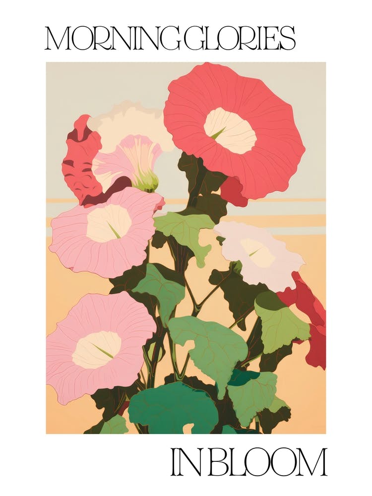 Morning Glories In Bloom Flowers Bold Illustration 2