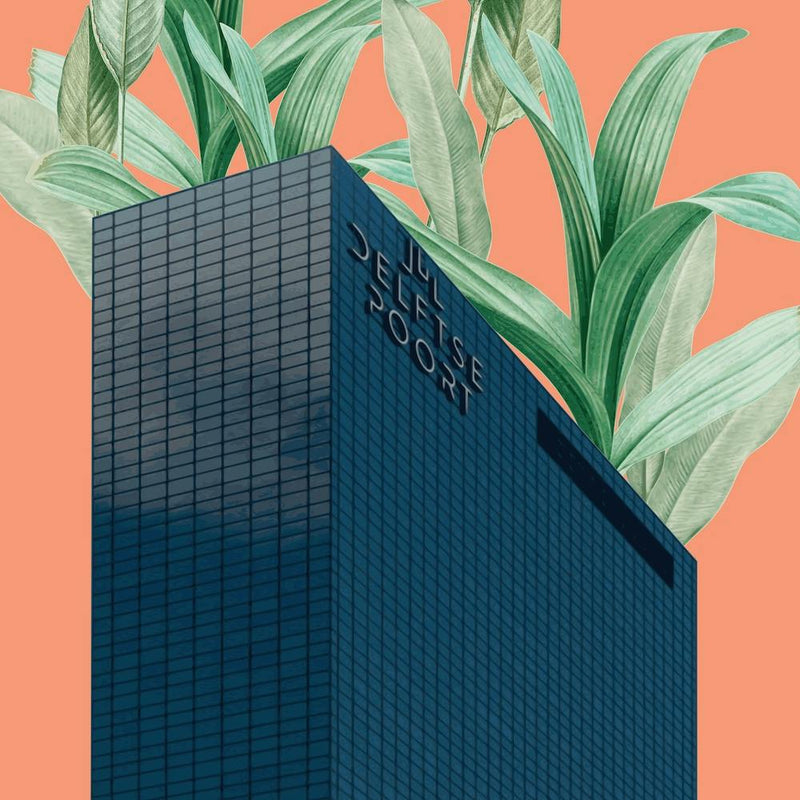 Plant Building II