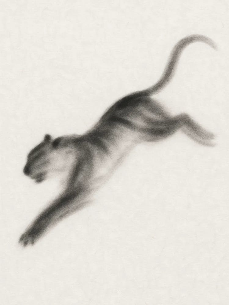 Tiger In Flight