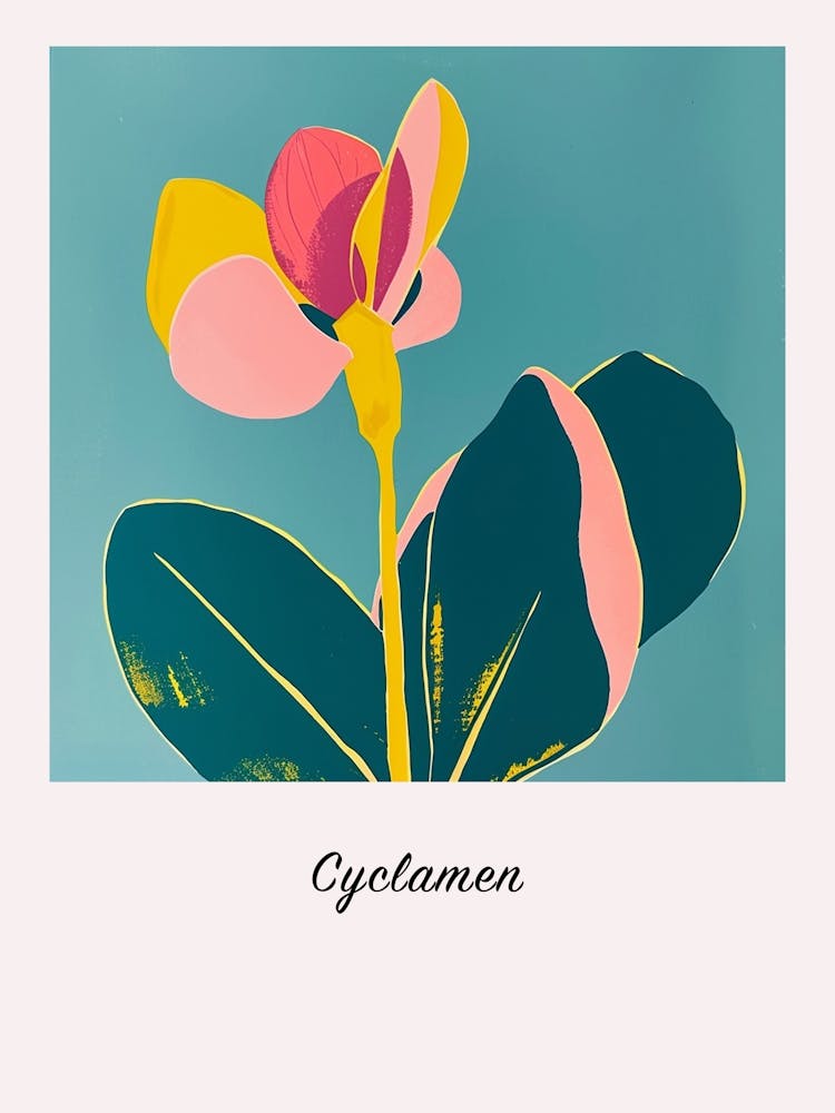 Cyclamen 1 Square Flower Illustration Poster