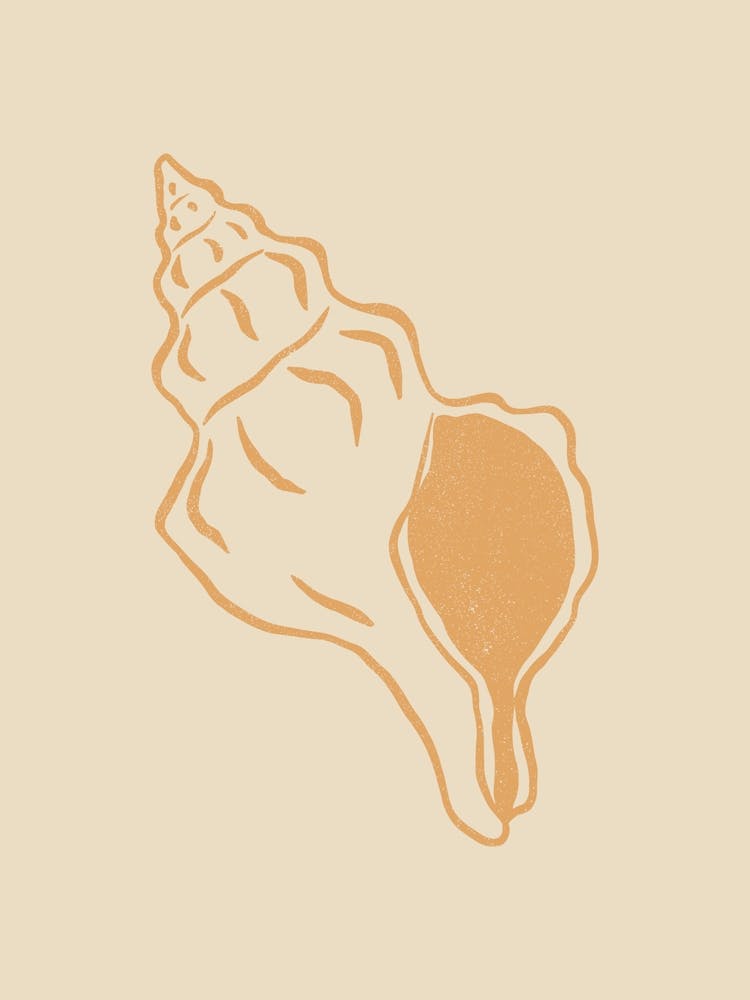 Seashell 01