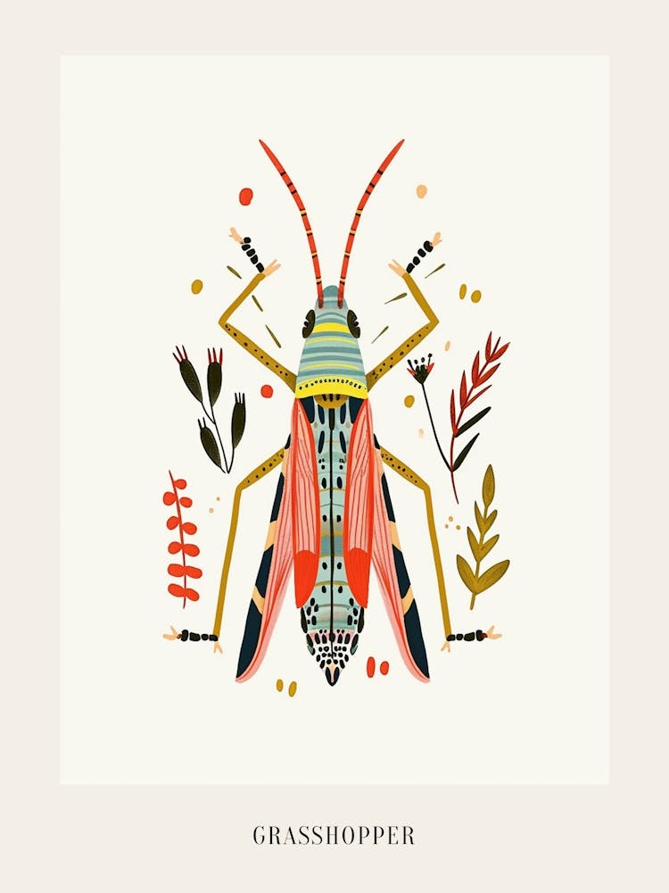 Colourful Insect Illustration Grasshopper 6 Poster