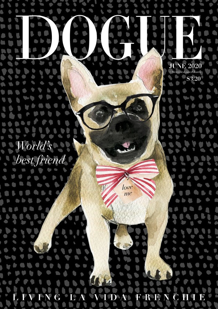 Frenchie Dogue Black