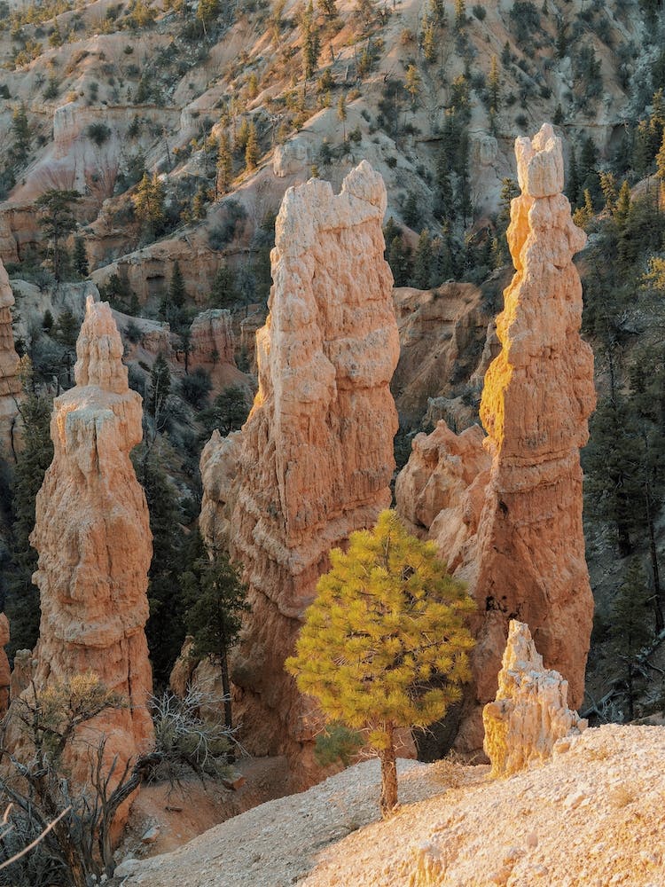 Bryce Canyon Rock Formations