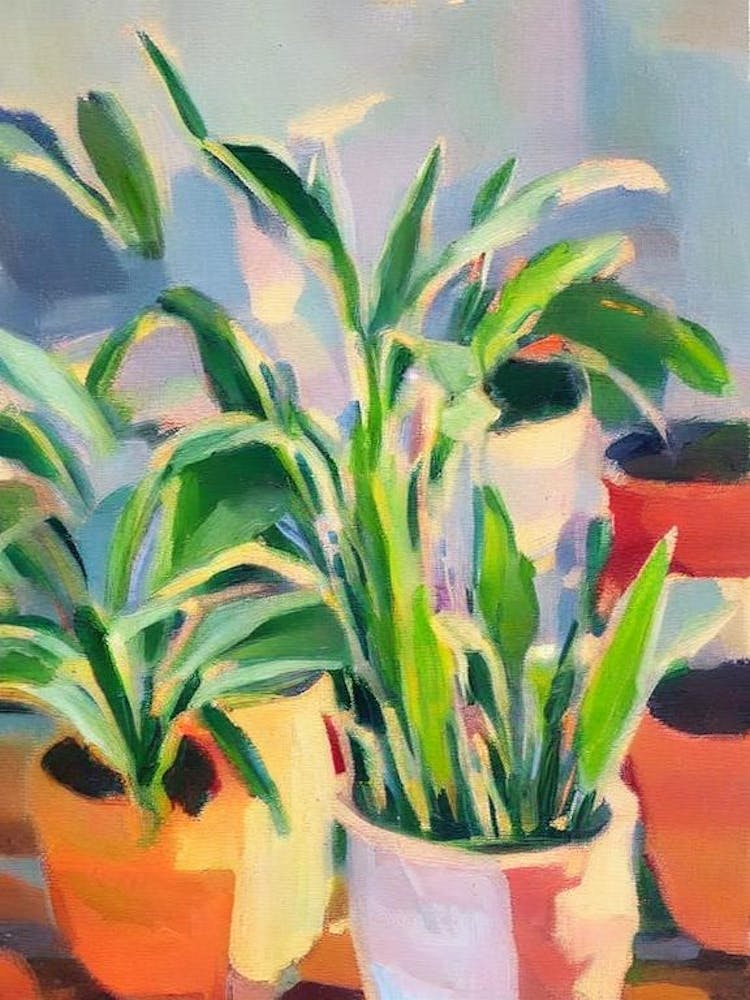 Aspidistra Impressionist Painting