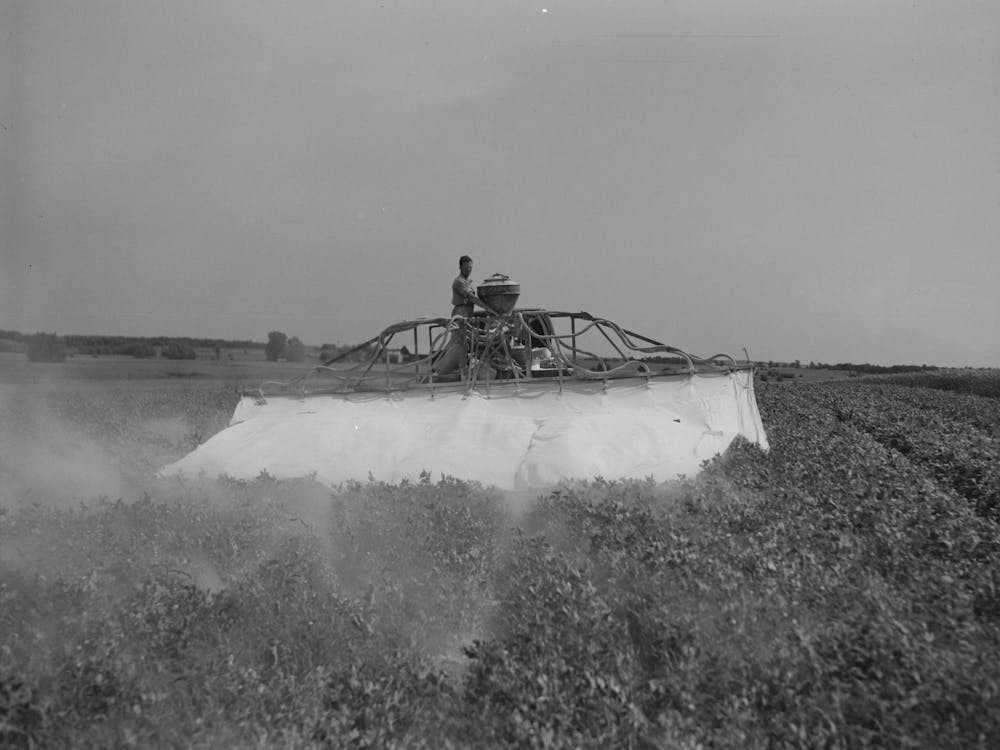 Untitled Photo, Possibly Related To Spraying Pea Vines To Get Rid Of Lice, Sun Prairie, Wisconsin By Russell Lee