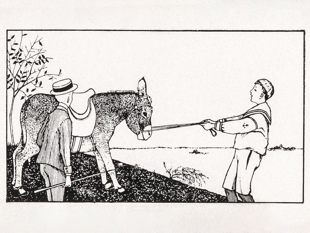 Two Boys And A Donkey, Julie De Graag