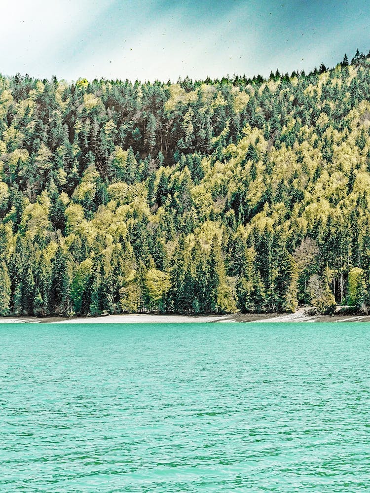 Lake Side