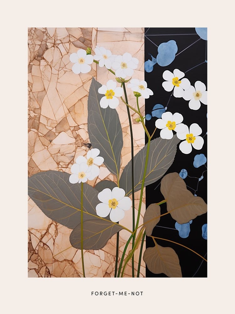 Flower Illustration Forget Me Not Flower 2 Poster