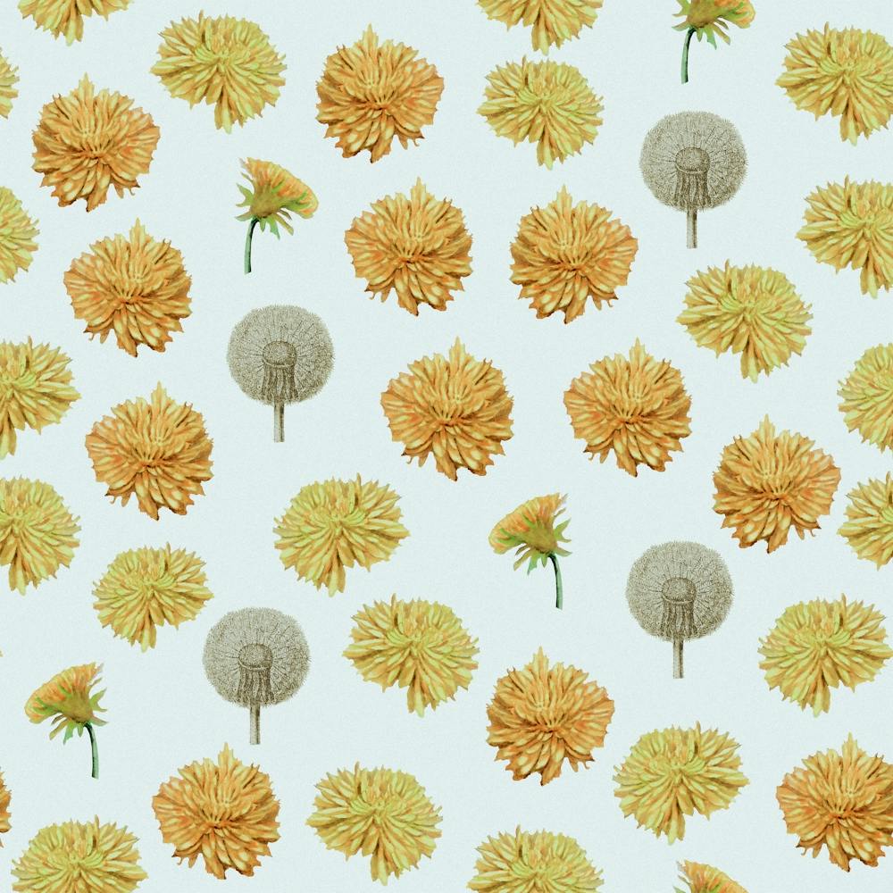 Watercolour Dandelion White