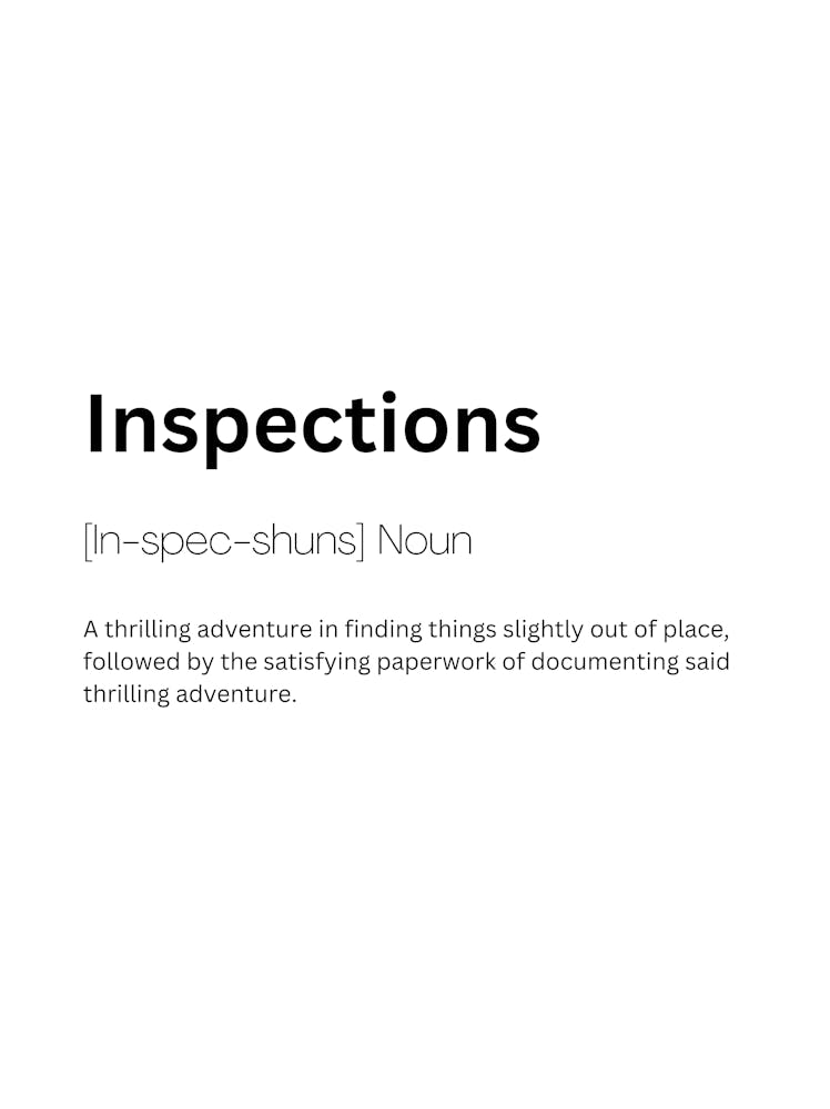 Inspections Definition Meaning