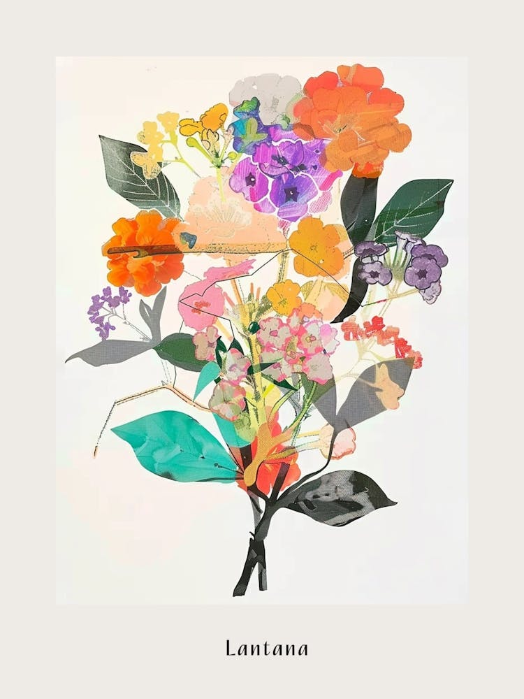 Lantana 1 Collage Flower Bouquet Poster
