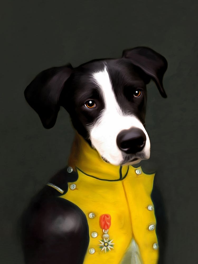Knight Boris The Dog Pet Portraits