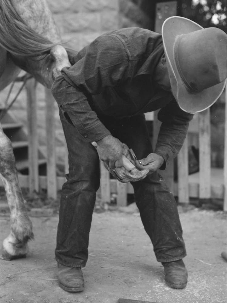 Untitled Photo, Possibly Related To Mormon Farmer Shoeing A Horse, Santa Clara, Utah By Russell Lee 1
