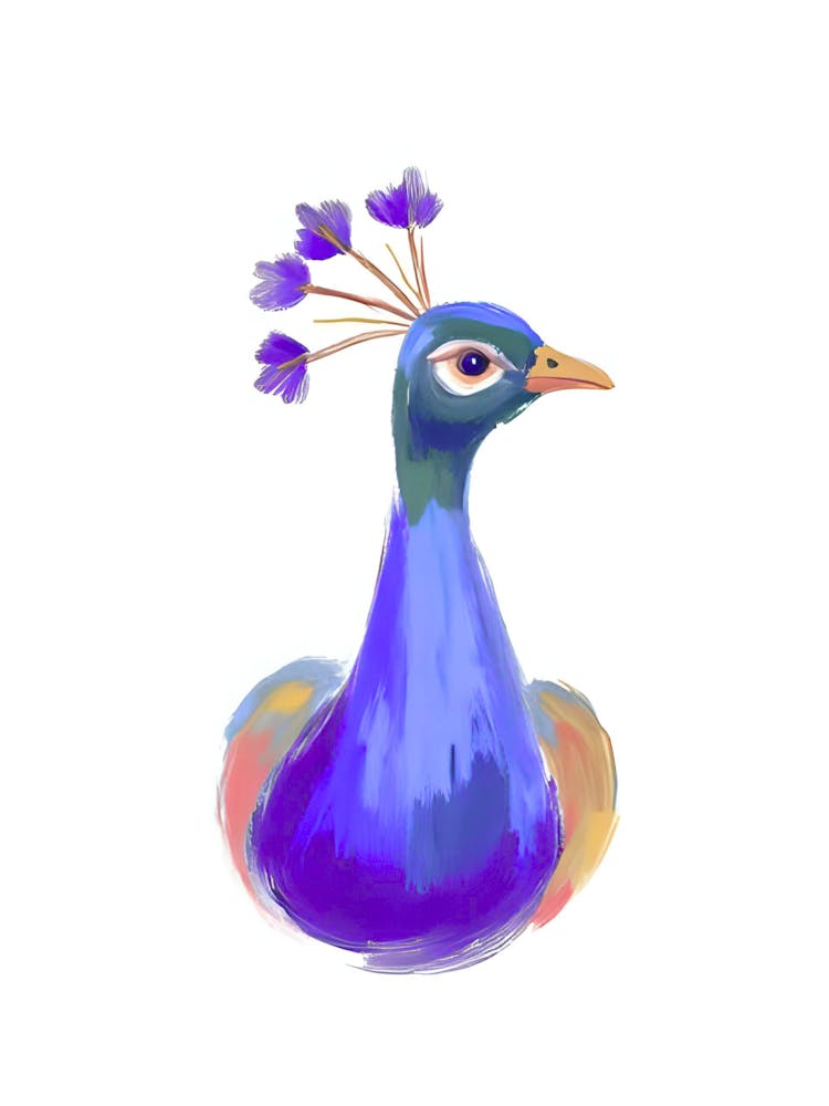 Peacock 20