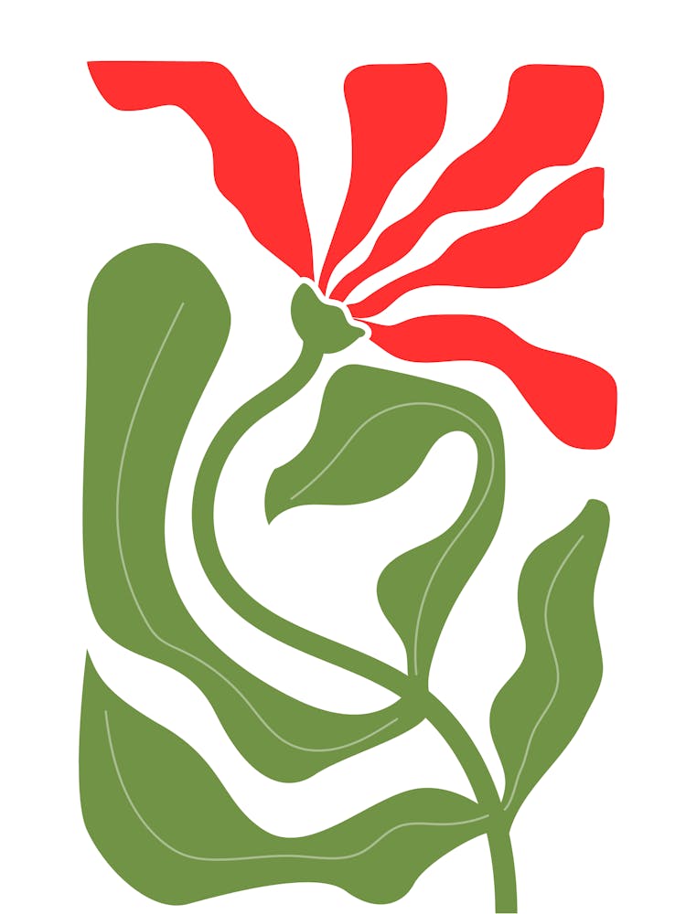Kaktusblüte