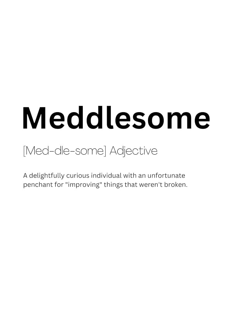 Meddlesome Definition Meaning