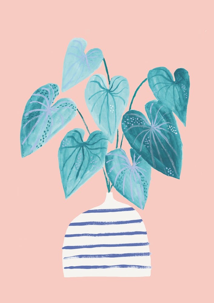Minimal Jungle Houseplant