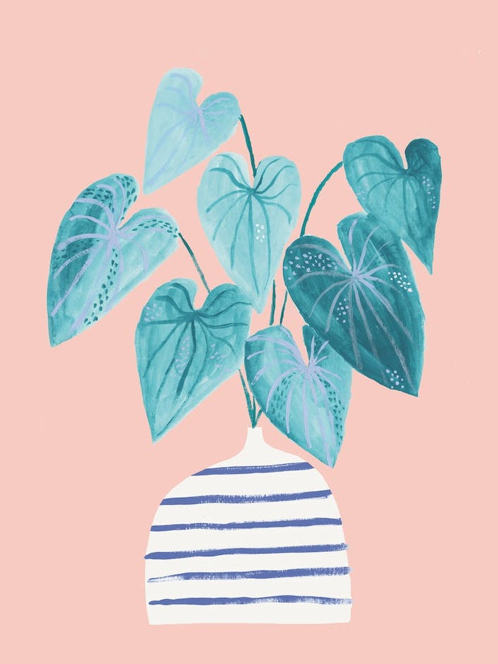 Minimal Jungle Houseplant