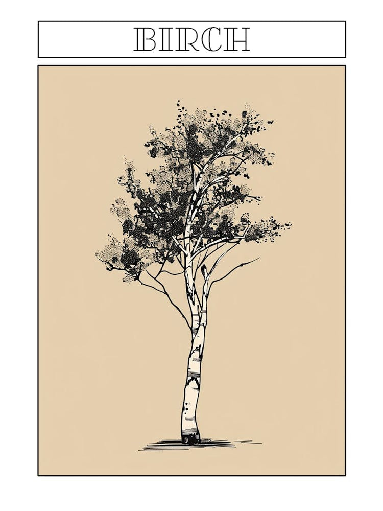 Birch Tree Minimalistic Drawing 1 Poster