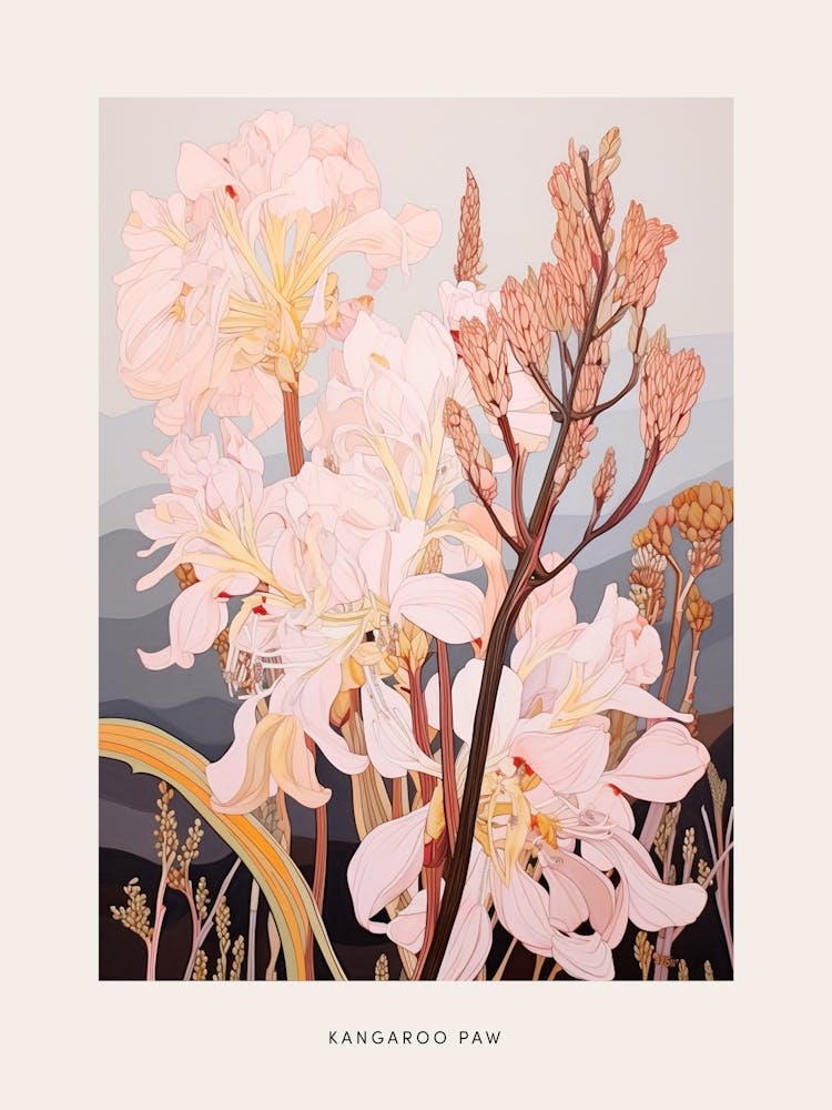 Flower Illustration Kangaroo Paw Flower 4 Poster