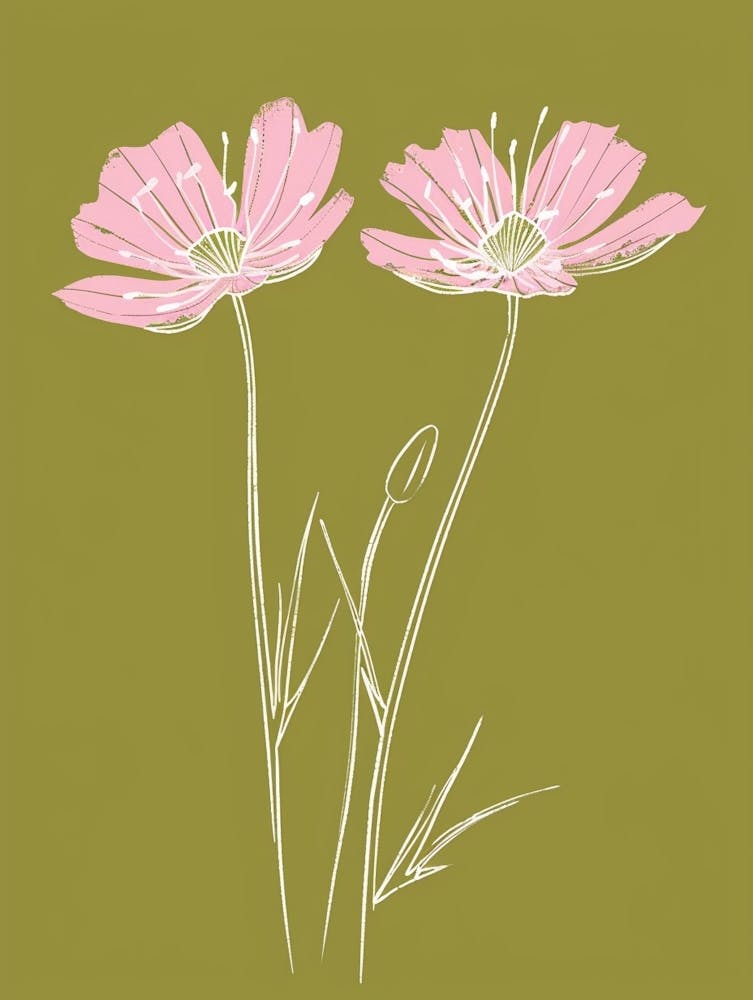 Pink & Green Love In A Mist 3