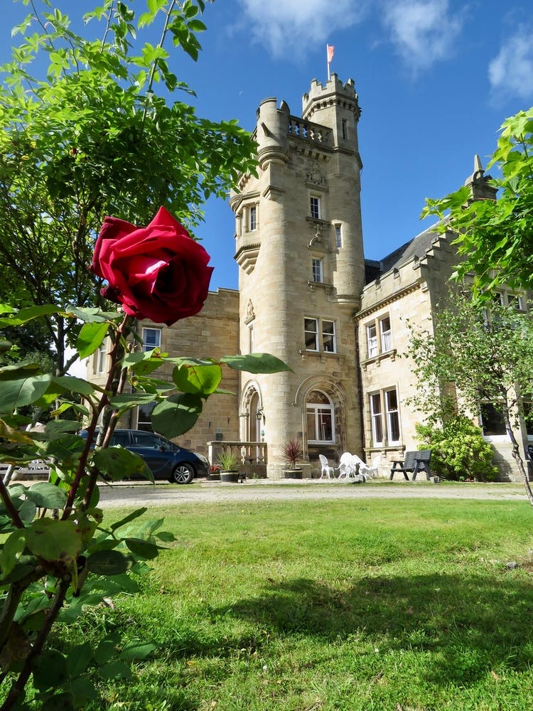 Red Rose In Front Of Scottish Castle