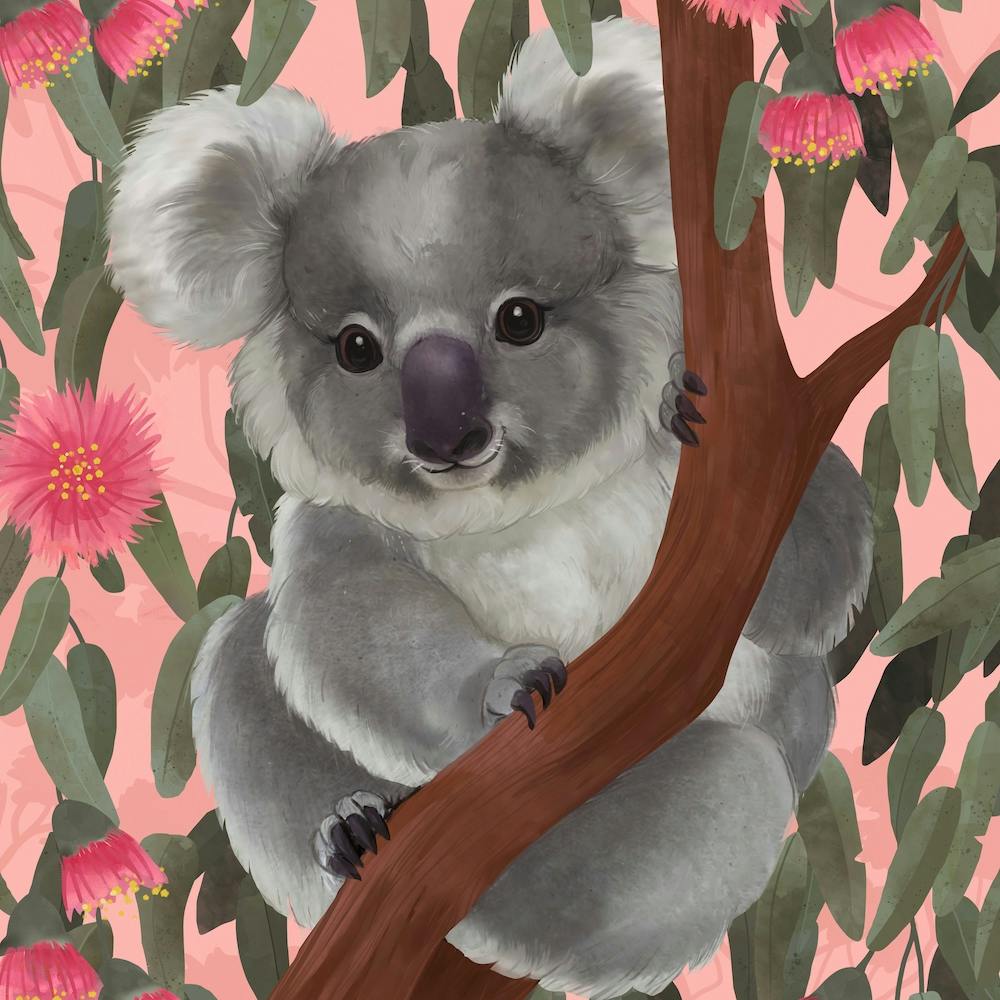 G'Day Koala Square