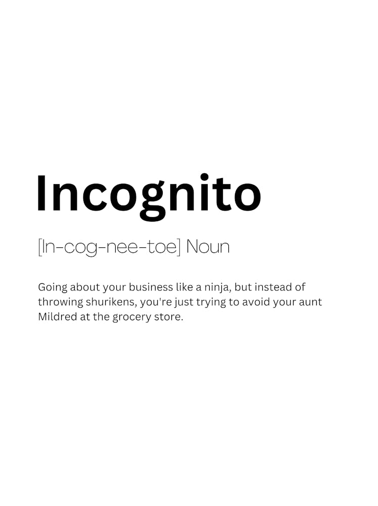 Incognito Definition Meaning 1