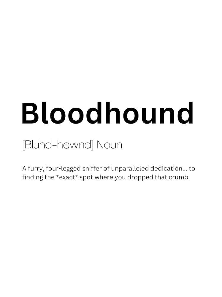 Bloodhound Definition Meaning