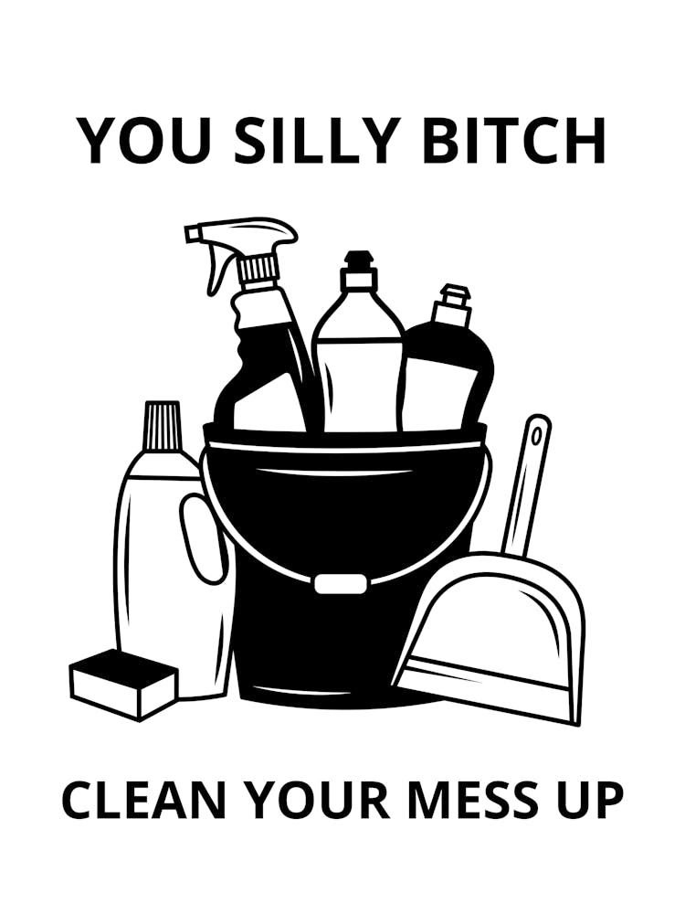 You Silly Bitch Clean Your Mess Up