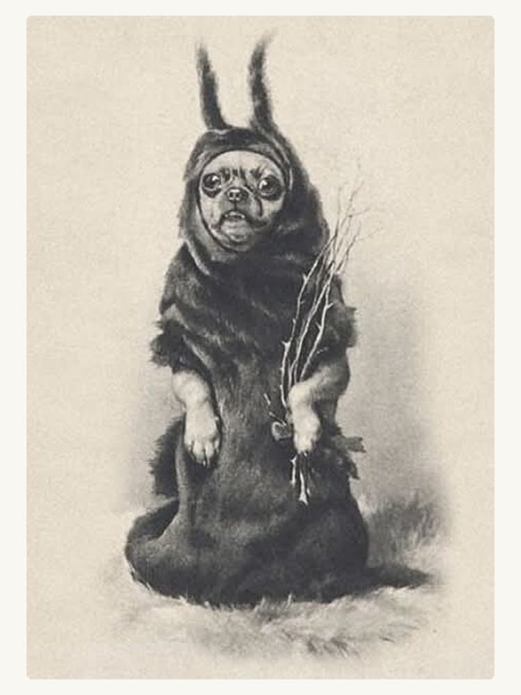 Victorian Christmas Krampus Chihuahua ~ 1900s Sketch for Greeting Cards Adorable Gothic Dog