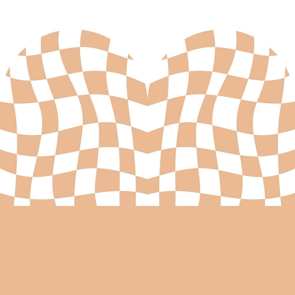 Vintage Checkered Flag 2