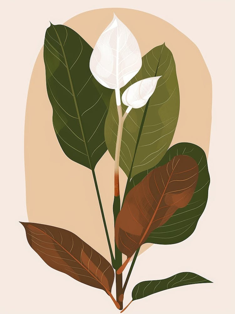 Lily Of The Valley 55