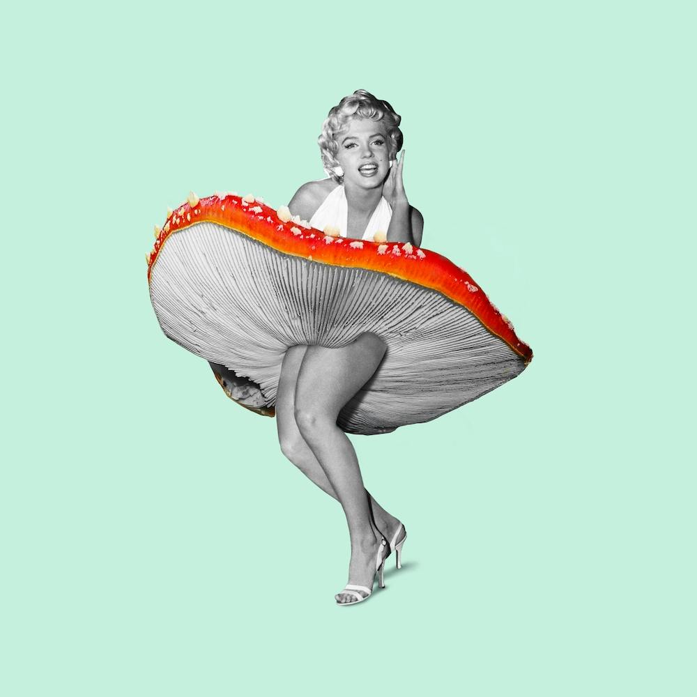 Happy Dress Square
