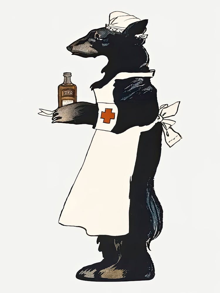 Bear Holding A Medicine Bottle, Edward Penfield