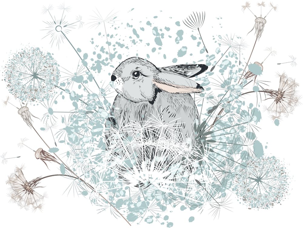 Dandelion Bunny