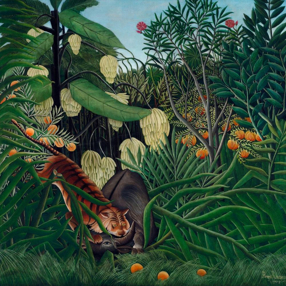 Fight Between A Tiger And A Buffalo, Henri Rousseau
