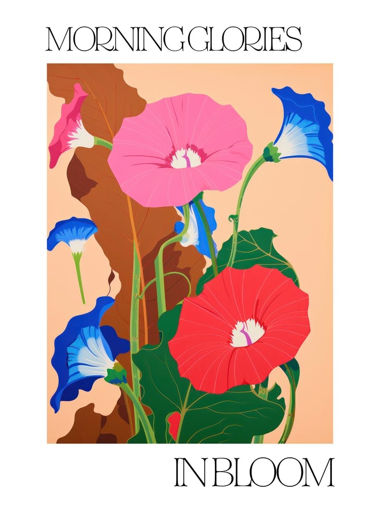 Morning Glories In Bloom Flowers Bold Illustration 1