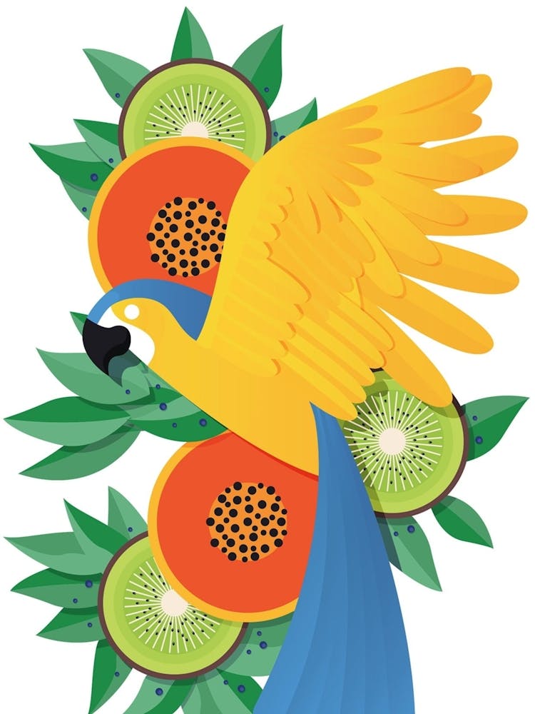 Parrot With Kiwifruit