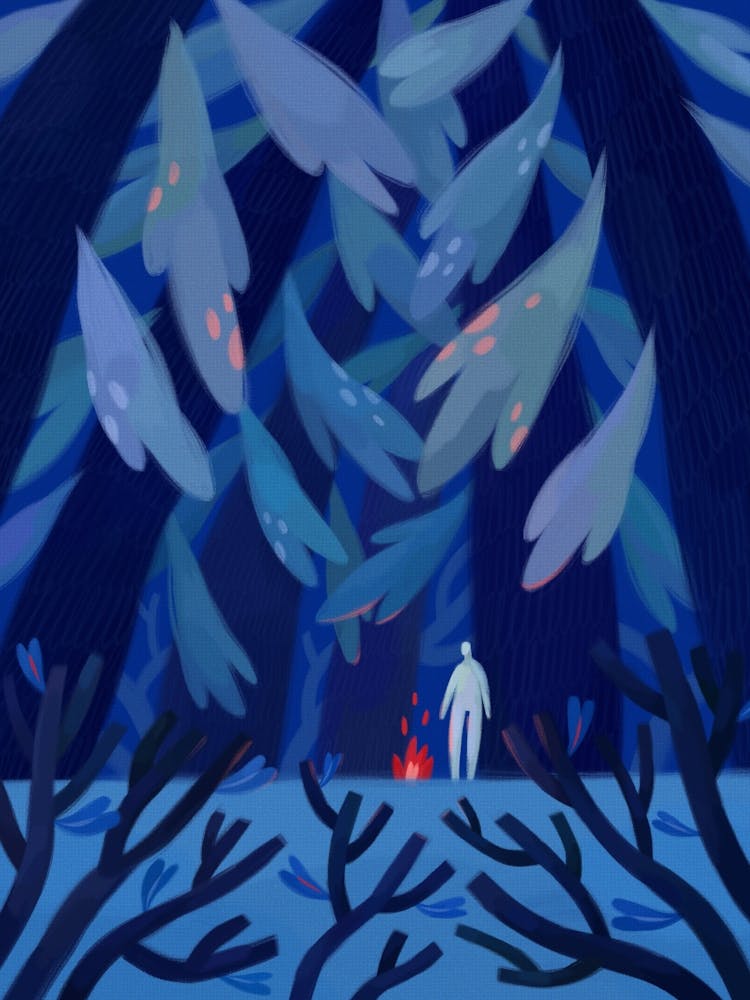 Forest At Night And Lonely Fire