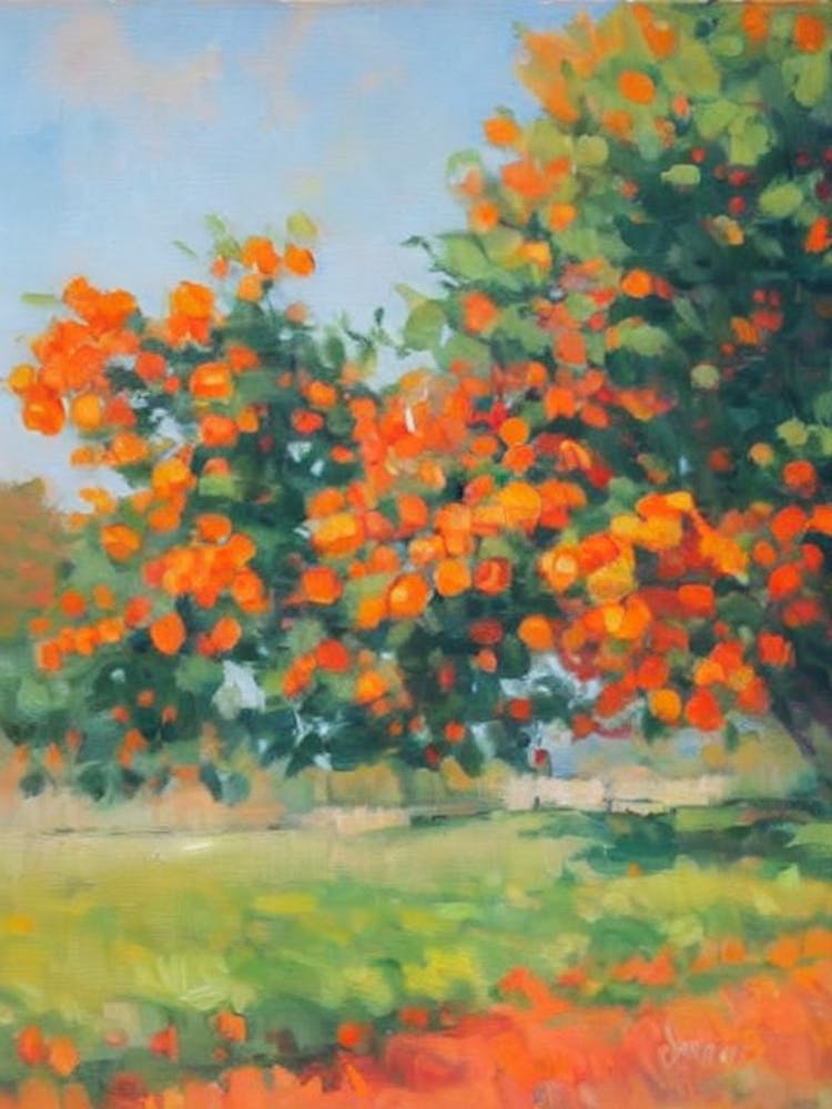 Orange Tree Watercolour