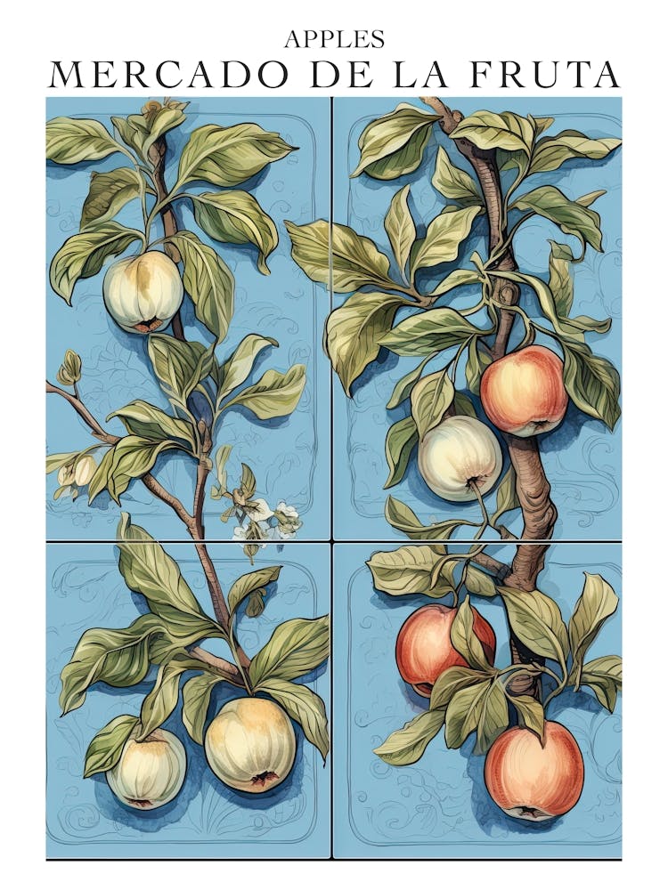 Mercado De La Fruta Apples Illustration 5 Poster
