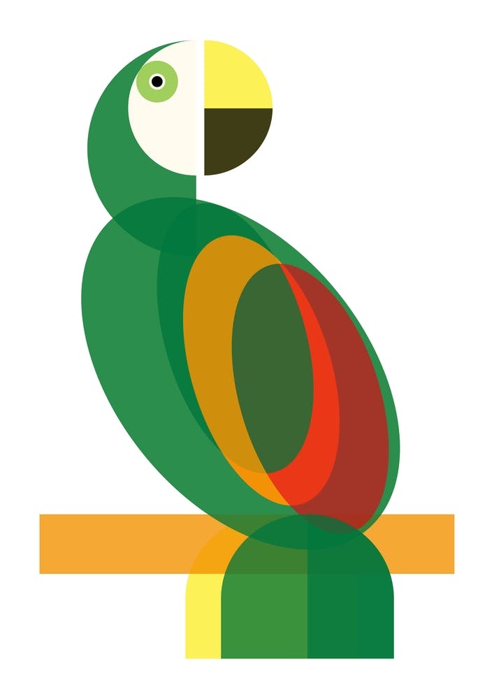 Geometric Parrot