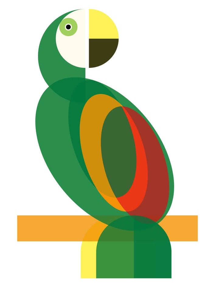 Geometric Parrot