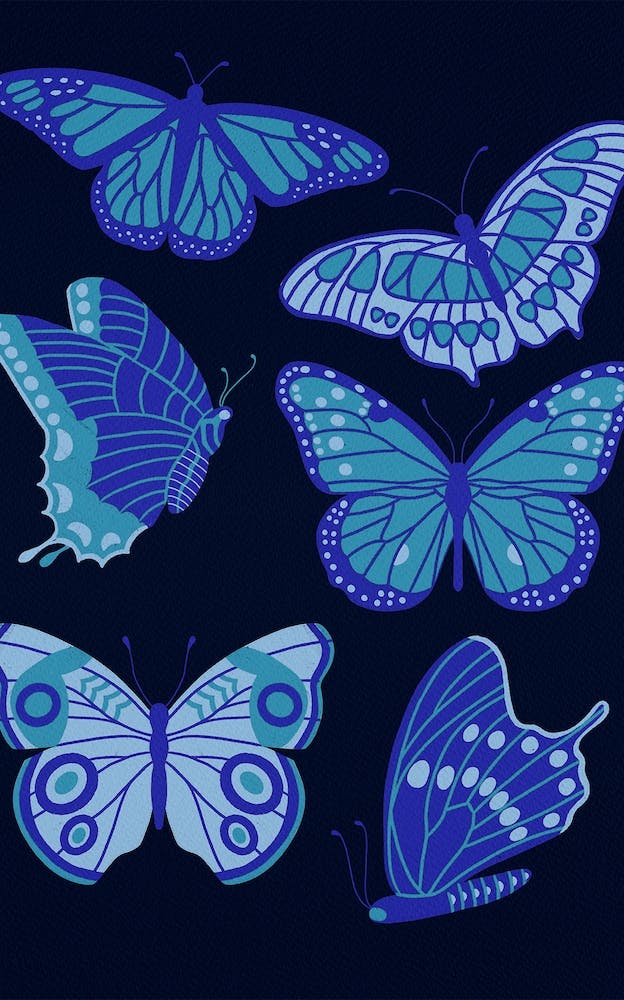 Texas Butterflies   Blue On Navy