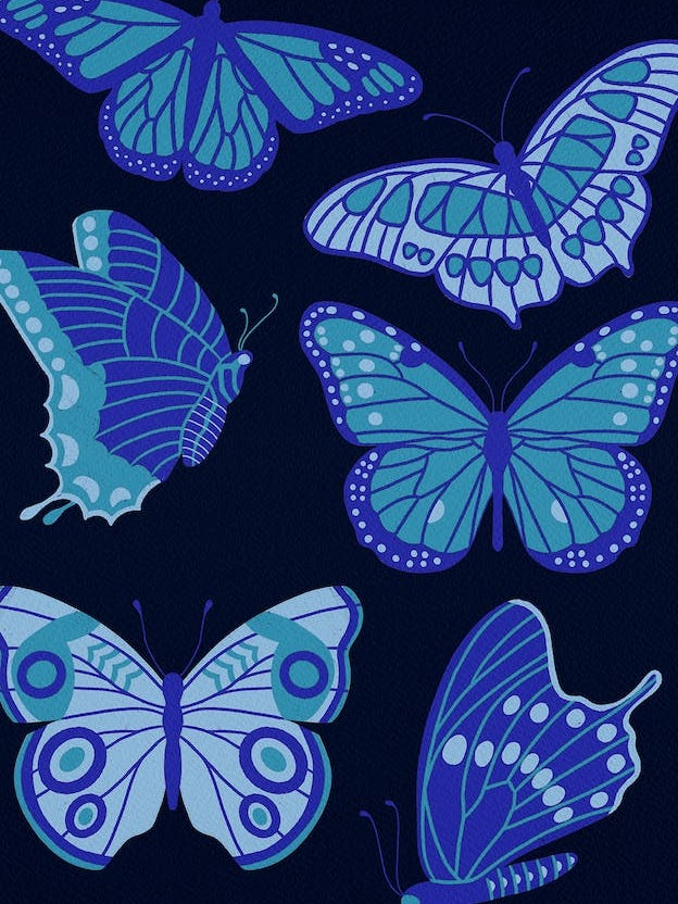 Texas Butterflies   Blue On Navy