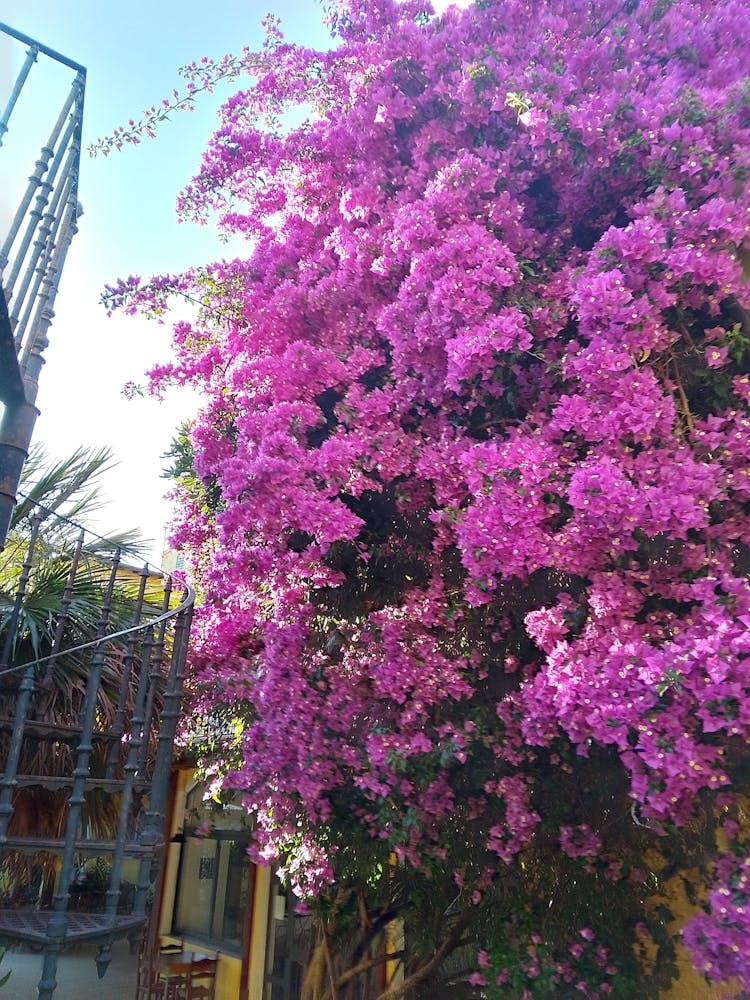 Img 20240603 192404 Hdr