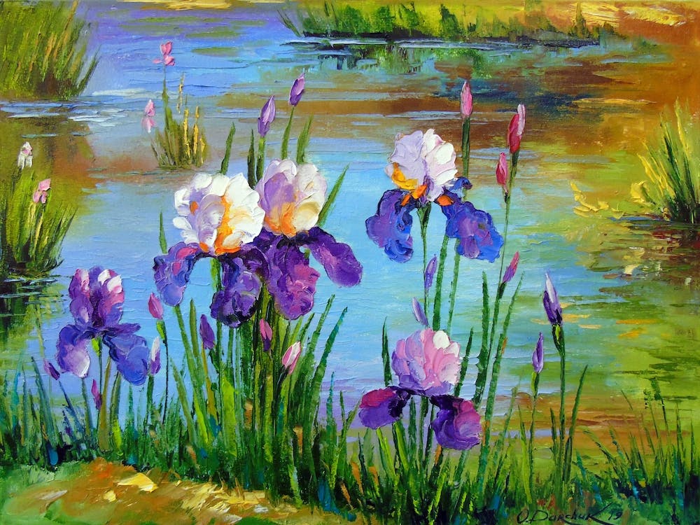 Irises by the pond