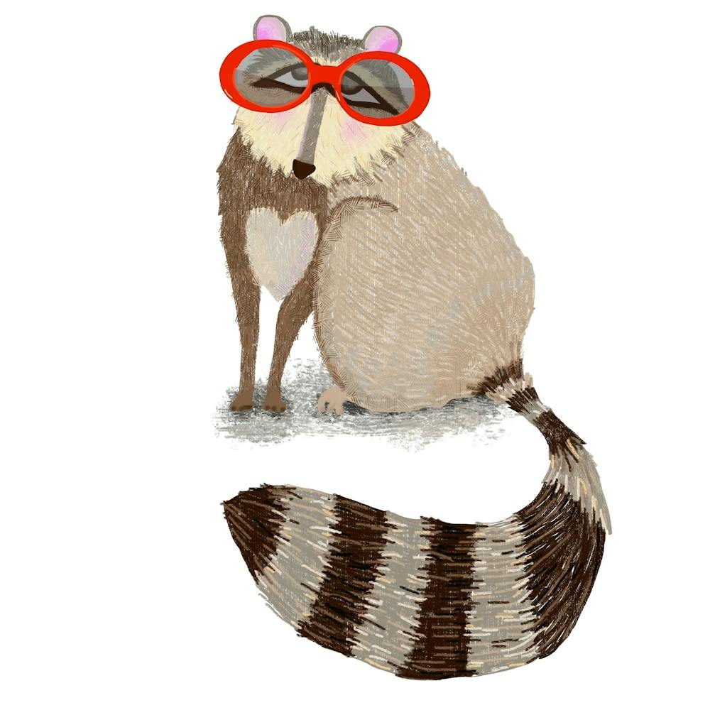 Raccoon wearing Sunglasses